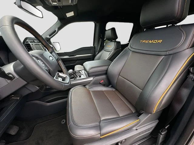 New 2026 Gray Ford Tremor image 15