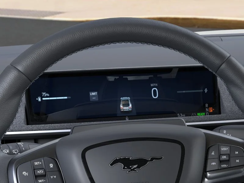 2025 Ford Mustang Mach-E GT - Photo 13