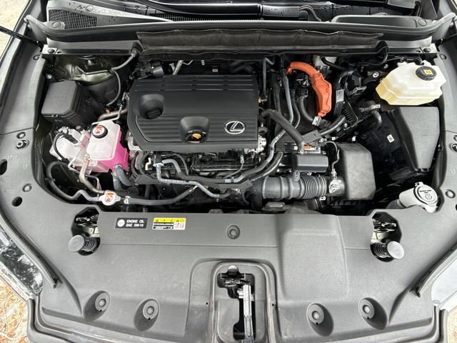 2025 Lexus RX Hybrid 350h - Photo 27