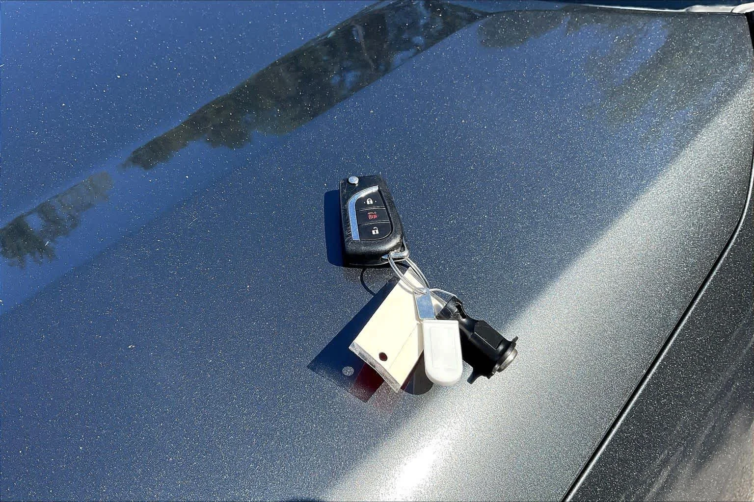 Used 2020 Magnetic Gray Metallic Toyota LE image 14
