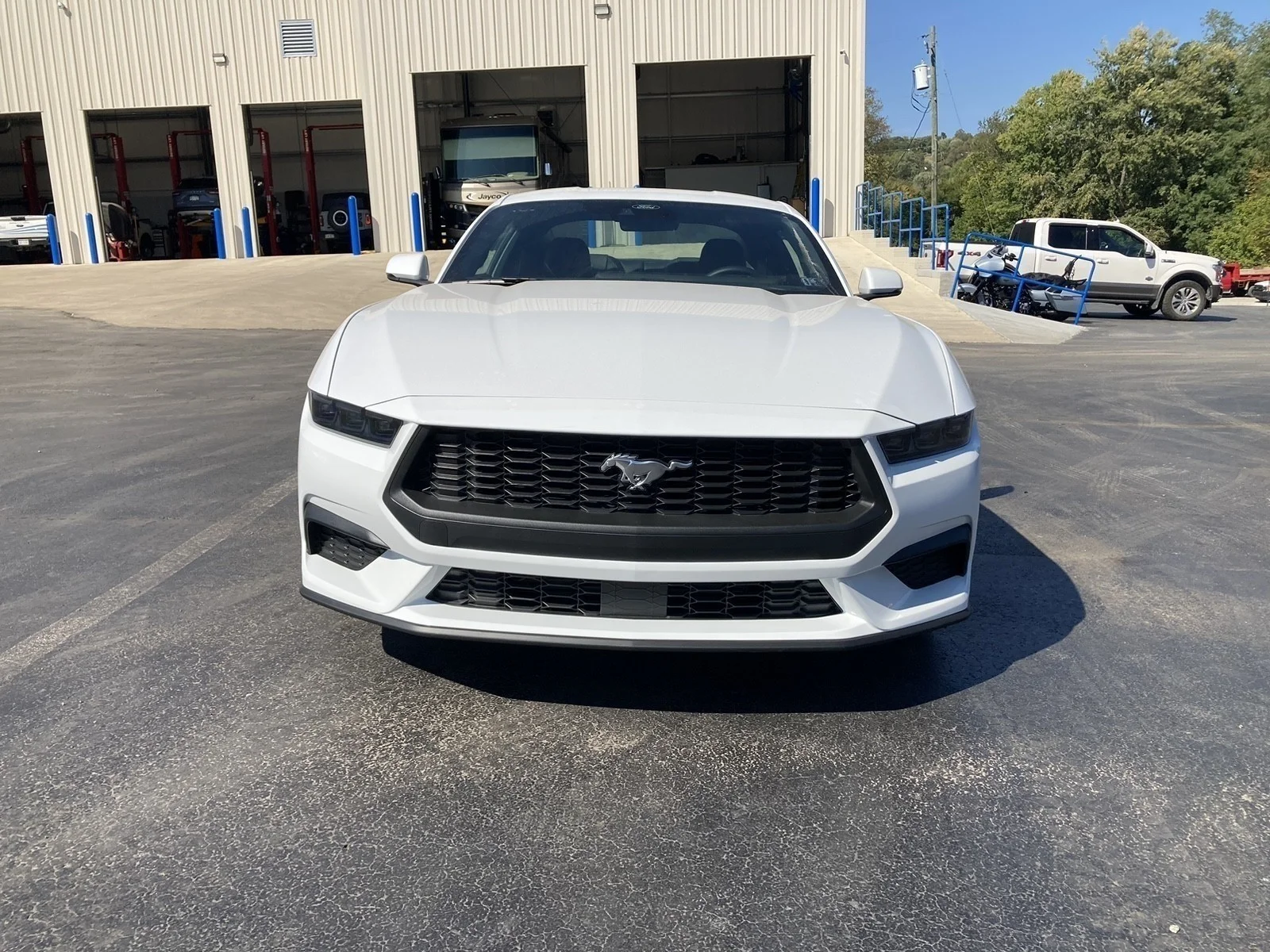 2025 Ford Mustang EcoBoost Premium Fastback - Photo 9