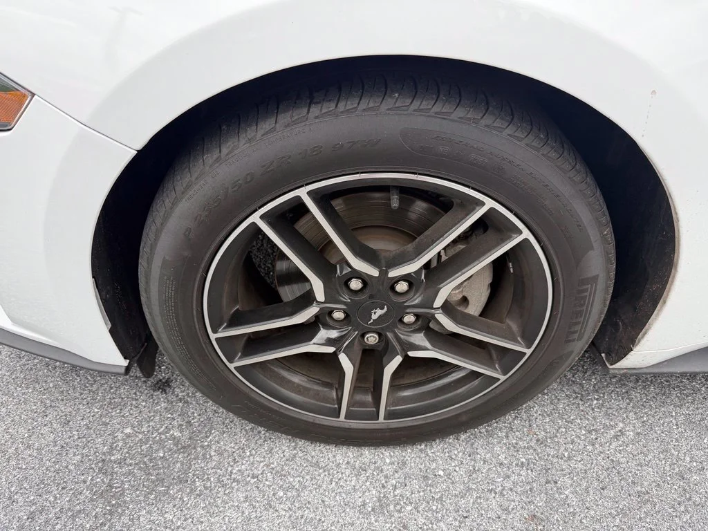 Used 2019 Oxford White Ford EcoBoost Premium image 10
