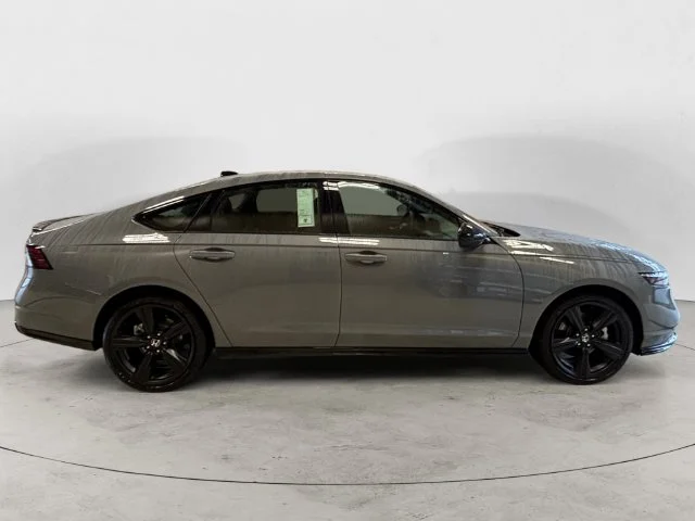 New 2026 Gray Honda Sport-L image 7