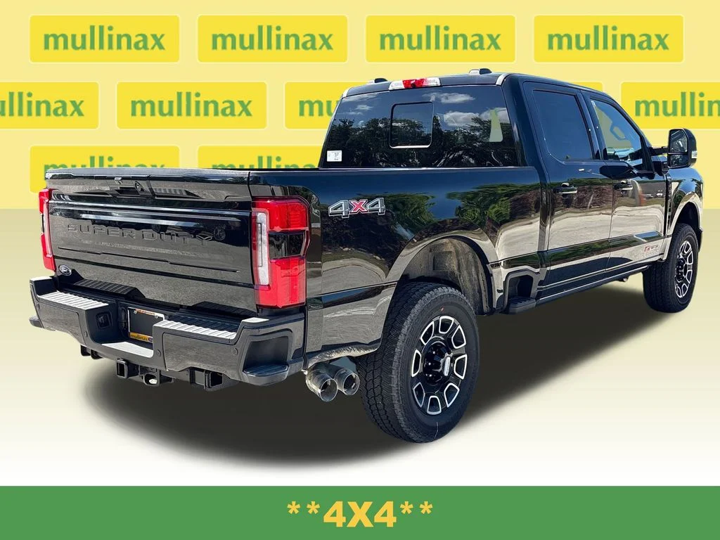 New 2026 Black Ford Platinum image 4