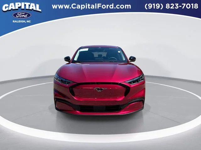 Used 2025 Red Ford Premium image 3