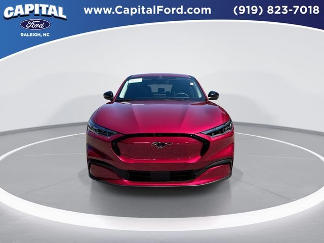 Used 2025 Red Ford Premium image 3