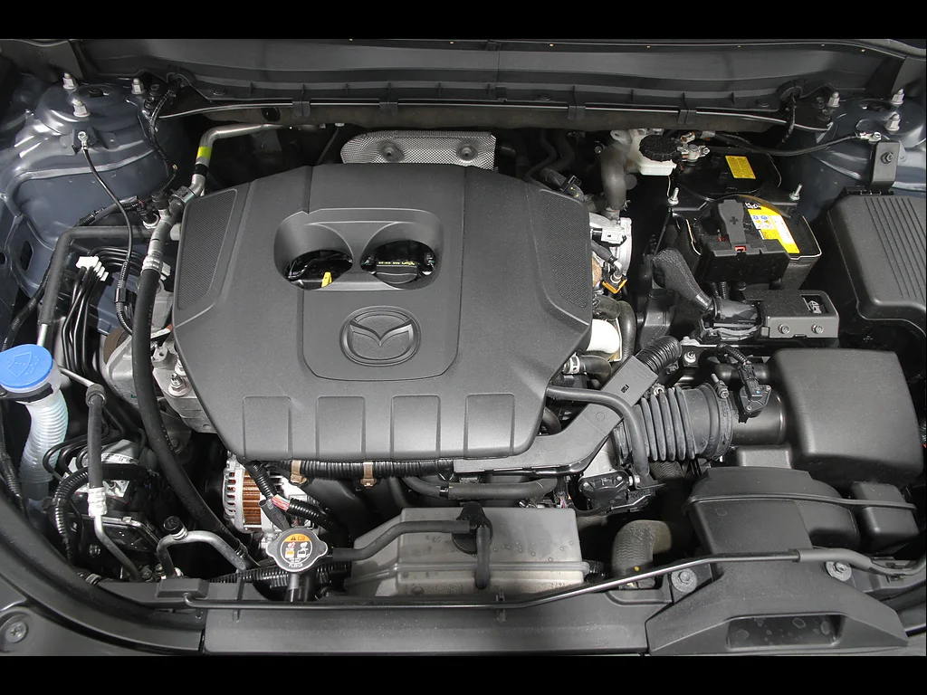 Photo 18