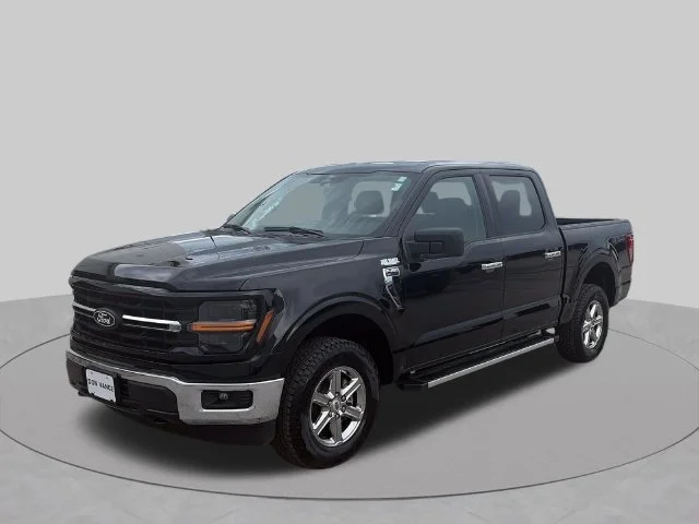 Used 2025 Black Ford XLT image 1