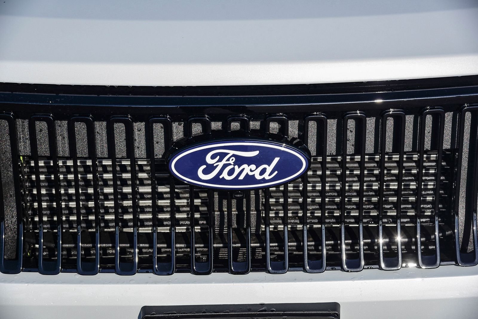 New 2026 Space White Metallic Ford Lobo™ image 11