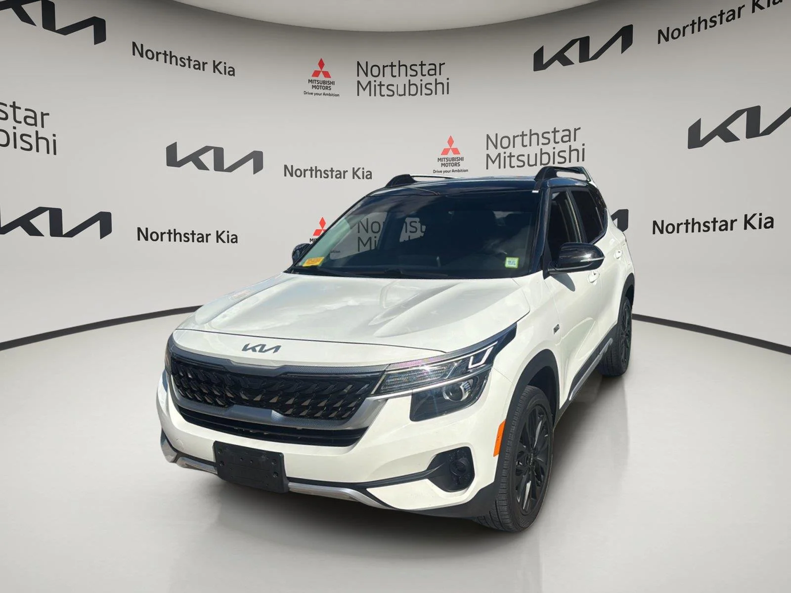 Used 2022 Clear White/Black Roof Kia Nightfall image 21