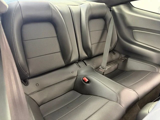 Used 2018 Black Ford EcoBoost Premium image 32