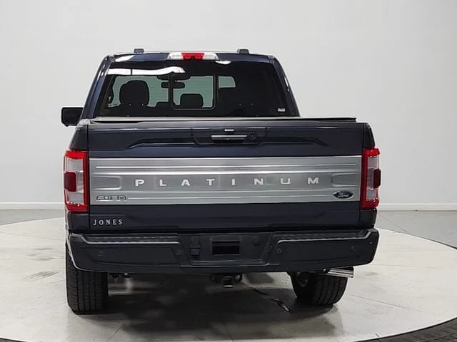 Used 2022 Gray Ford Platinum image 6