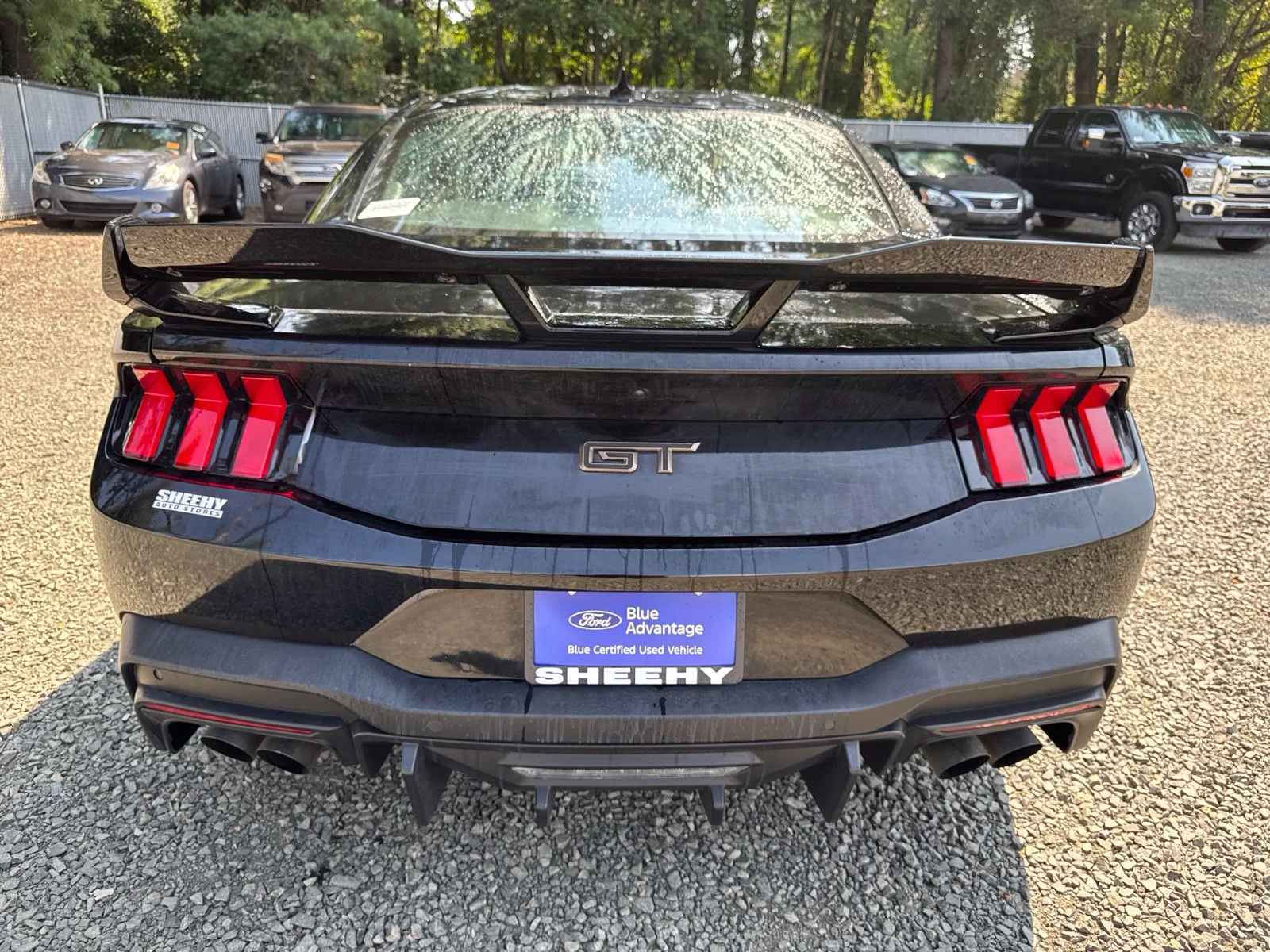 Certified Used 2025 Black Ford GT Premium image 13