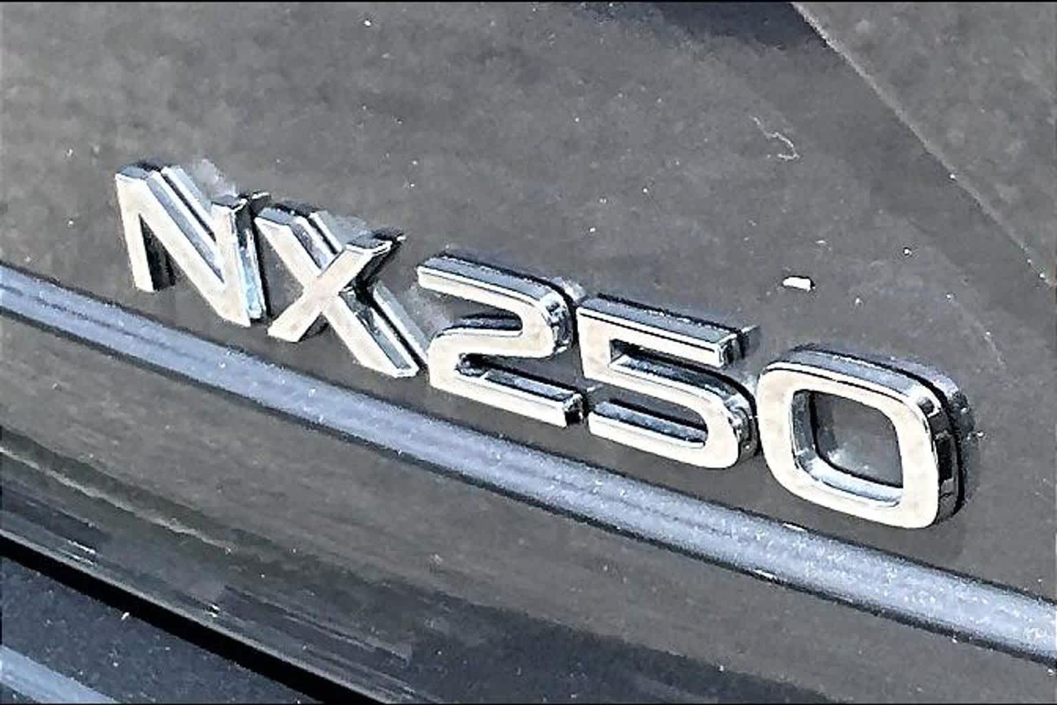 Used 2024 Cloudburst Gray Lexus Premium image 10