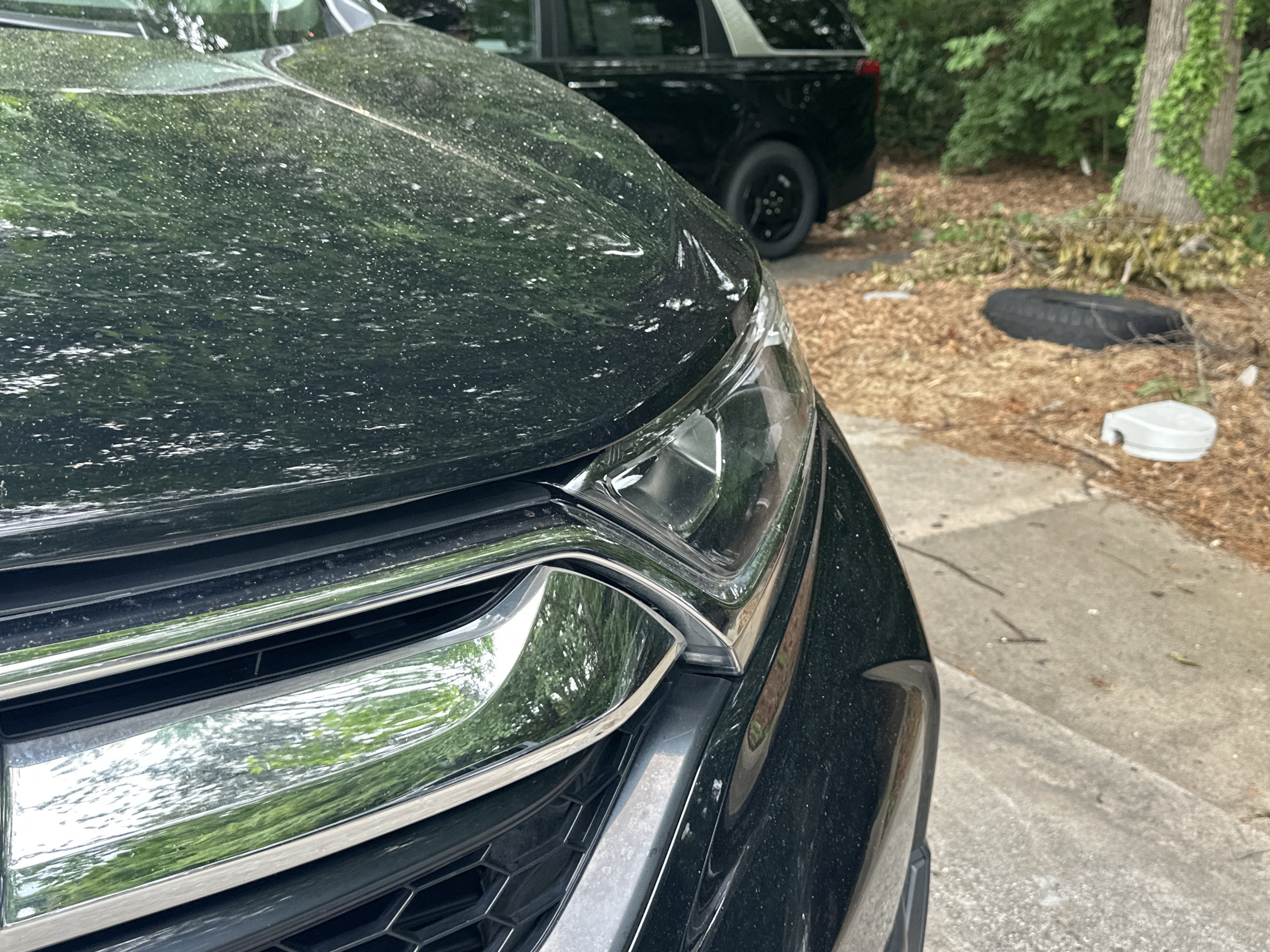 Used 2019 Crystal Black Pearl Honda EX-L image 14