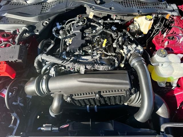 New 2026 Molten Magenta Metallic Tinted Clearcoat Ford EcoBoost image 58