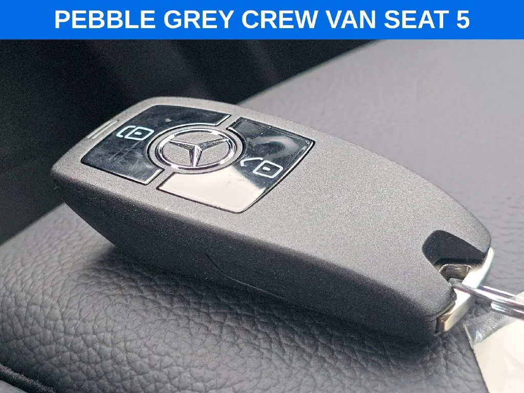New 2026 Pebble Grey Mercedes-Benz Crew 144 WB image 29
