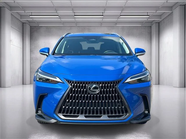 Certified Used 2025 GRECIAN WATER Lexus 250 Premium image 8