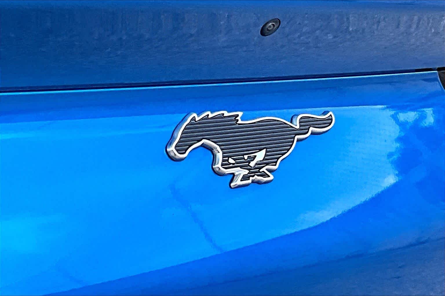 Used 2025 Velocity Blue Metallic Ford Premium image 30