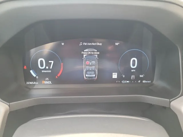 Used 2025 Silver Ford Active image 32