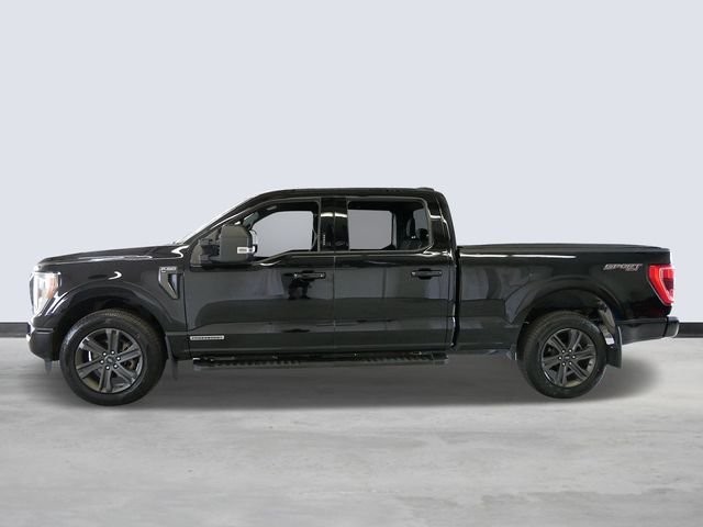 Certified Used 2023 Black Ford XLT image 2