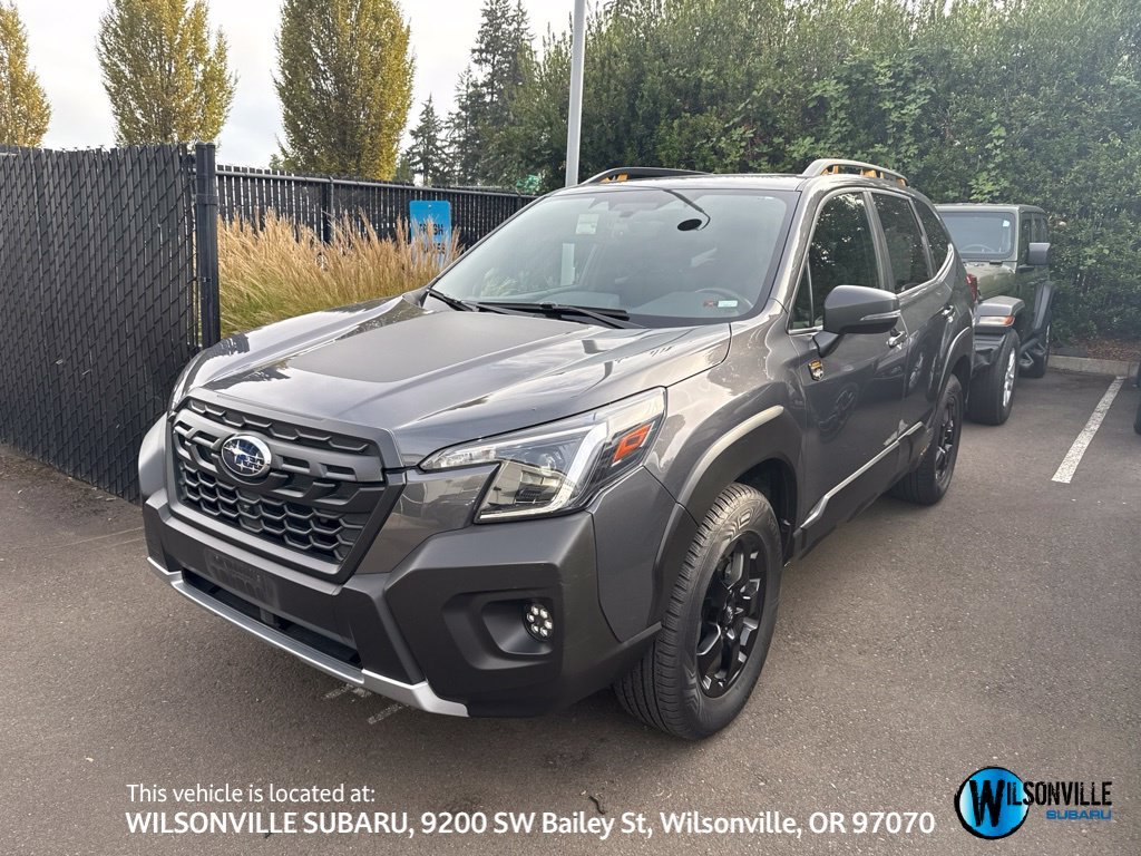 Used 2024 Gray Subaru Wilderness image 1