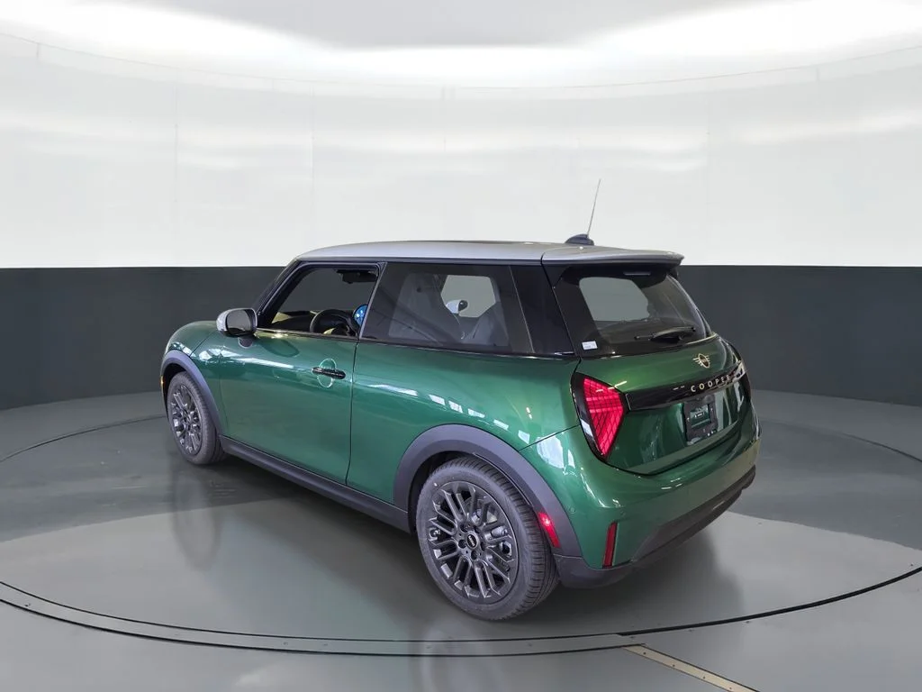 New 2026 Green MINI  image 4