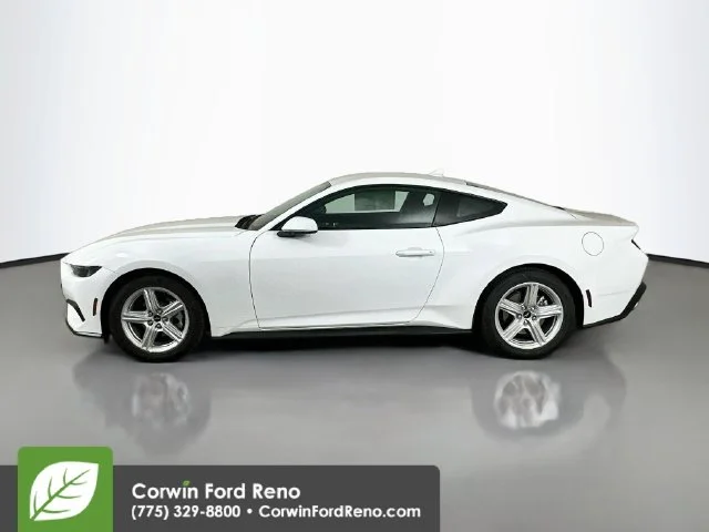 New 2026 Oxford White Ford EcoBoost image 4