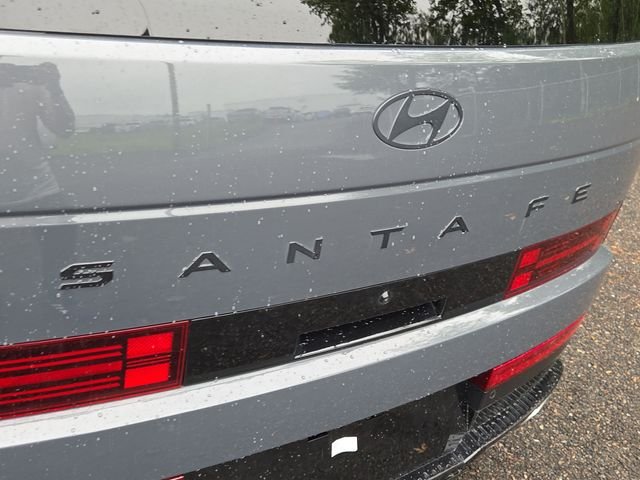 Used 2025 Gray Hyundai Calligraphy image 5