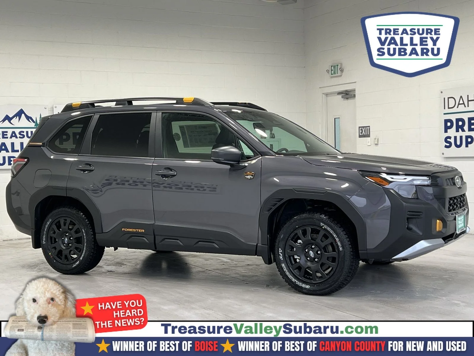2026 Subaru Forester Wilderness's photo