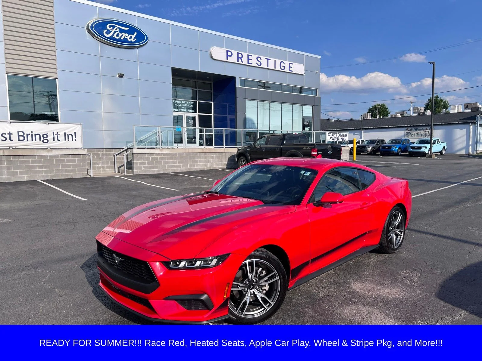 2024 Ford Mustang EcoBoost Fastback's photo