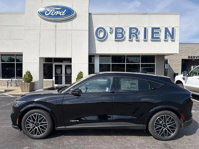 New 2026 Shadow Black Ford Premium image 28