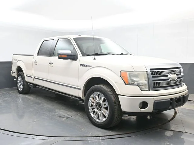 Used 2009  Ford Platinum image 1