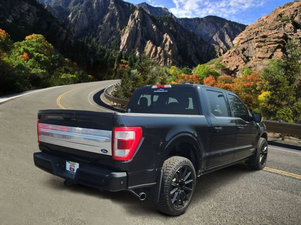 Used 2021 Black Ford Limited image 3
