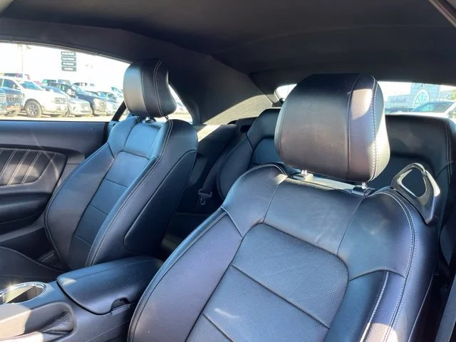 Used 2016  Ford EcoBoost Premium image 13