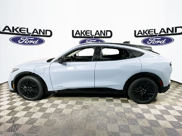 New 2026 Gray Ford Premium image 6