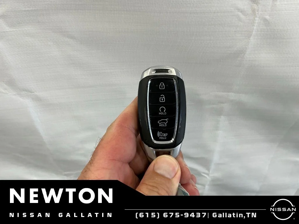 Used 2022 Rainforest Hyundai Calligraphy image 55