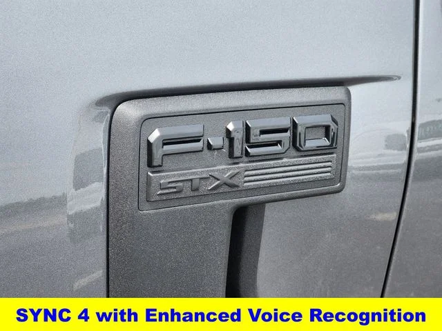 New 2026 Gray Ford STX image 11
