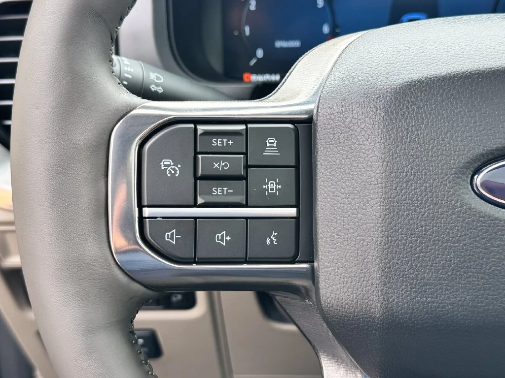 New 2026 Black Ford Platinum image 22