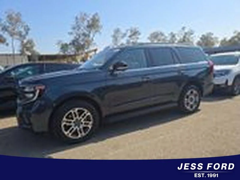 2025 Ford Expedition's photo