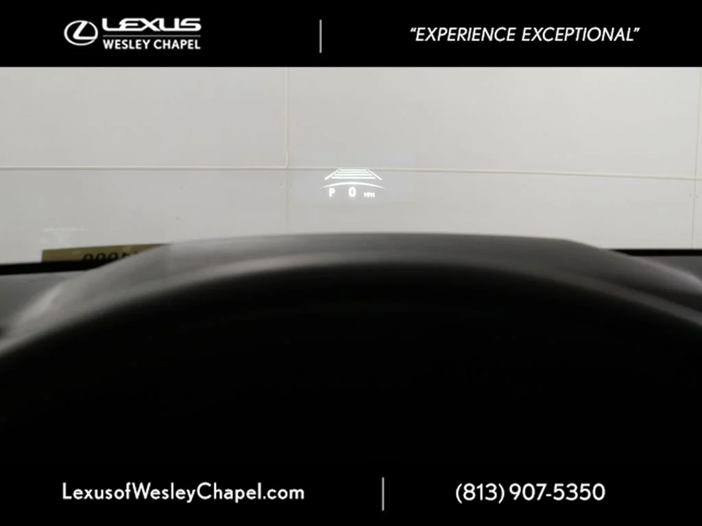 2026 Lexus RX 450h+ Luxury - Photo 12