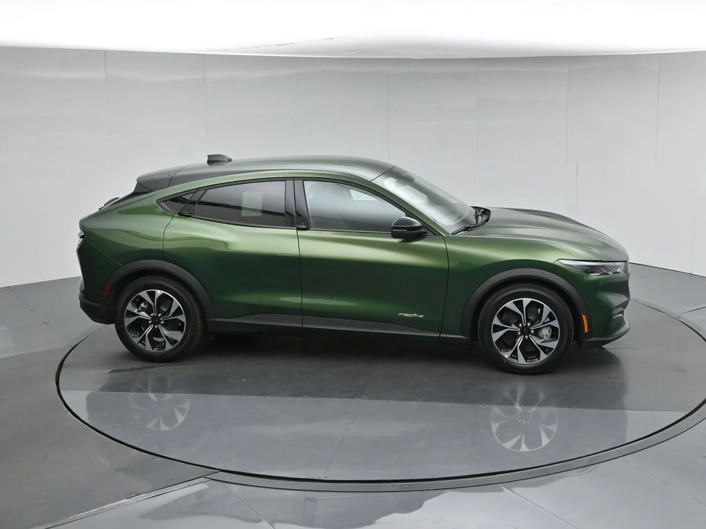 New 2026 Eruption Green Metallic Ford Select image 51