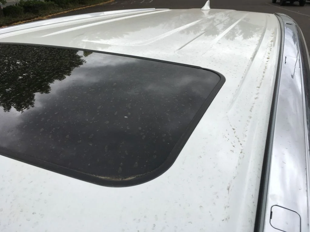 Used 2019 White Toyota XLE image 38