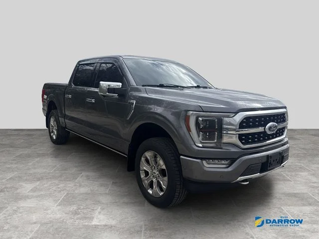 Used 2021 Gray Ford Platinum image 3