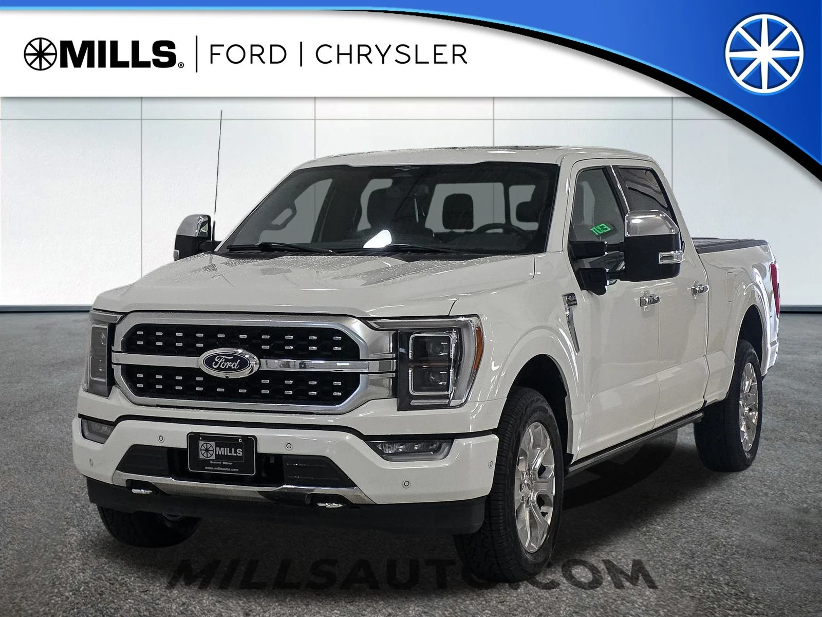 Used 2023  Ford Platinum image 1