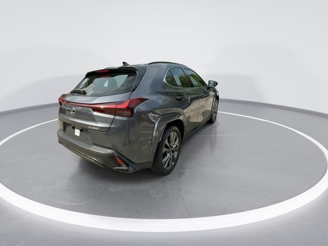 2024 Lexus UX Hybrid 250h F Sport Design - Photo 8