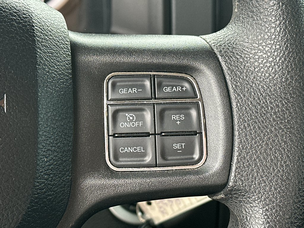 Used 2019 RED Ram Express image 19