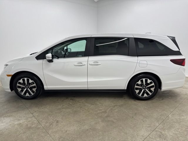 New 2026 Platinum White Pearl Honda EX-L image 8