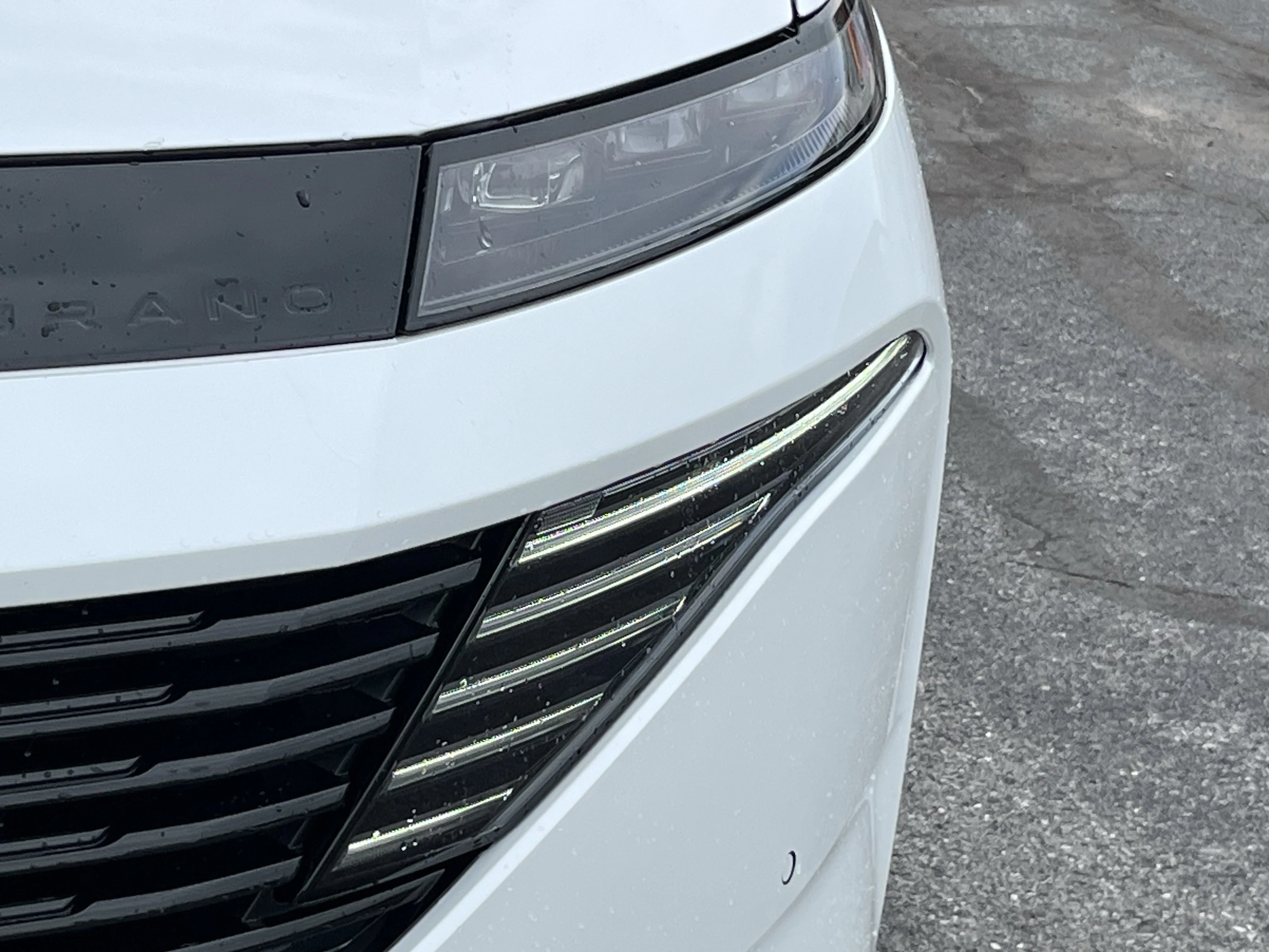 New 2026 Everest White Pearl TriCoat Nissan SL image 15