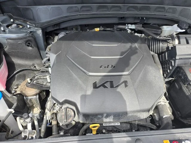 Used 2025 Panthera Metal Kia S image 21